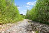 0 Mud Pond Pass - Photo 13