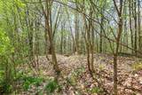 0 Mud Pond Pass - Photo 14