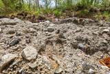 0 Mud Pond Pass - Photo 17