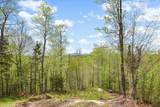0 Mud Pond Pass - Photo 18