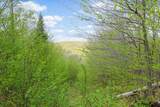 0 Mud Pond Pass - Photo 19