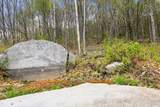0 Mud Pond Pass - Photo 21