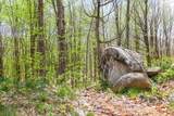 0 Mud Pond Pass - Photo 22