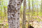 0 Mud Pond Pass - Photo 23