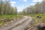 0 Mud Pond Pass - Photo 3
