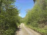 0 Mud Pond Pass - Photo 33