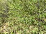 0 Mud Pond Pass - Photo 37