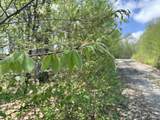 0 Mud Pond Pass - Photo 39