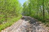 0 Mud Pond Pass - Photo 4