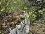 0 Mud Pond Pass - Photo 40