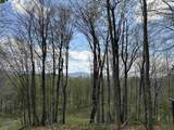 0 Mud Pond Pass - Photo 42