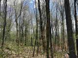 0 Mud Pond Pass - Photo 43