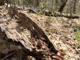 0 Mud Pond Pass - Photo 44