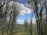 0 Mud Pond Pass - Photo 45