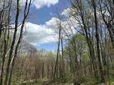 0 Mud Pond Pass - Photo 46
