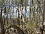 0 Mud Pond Pass - Photo 48