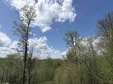 0 Mud Pond Pass - Photo 49