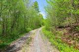 0 Mud Pond Pass - Photo 5