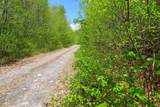 0 Mud Pond Pass - Photo 6