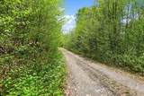 0 Mud Pond Pass - Photo 7