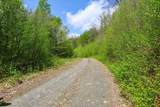 0 Mud Pond Pass - Photo 8
