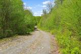 0 Mud Pond Pass - Photo 9