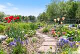 6 Twin Oaks Terrace - Photo 35