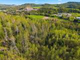 TBD Carleton Hill Road - Photo 17