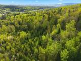 TBD Carleton Hill Road - Photo 18