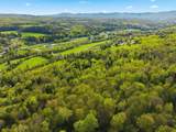 TBD Carleton Hill Road - Photo 25