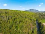 TBD Carleton Hill Road - Photo 34