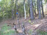 324 Sunrise Road - Photo 6