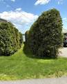 564 Mills Point Road - Photo 14