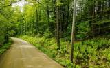 00 Camp Brook Road - Photo 1