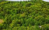 00 Camp Brook Road - Photo 12