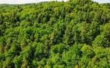 00 Camp Brook Road - Photo 8