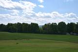 Lot 5 W. Cobble Hill Road - Photo 7