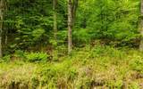 00 Camp Brook Road - Photo 2