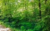 00 Camp Brook Road - Photo 4