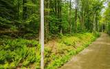 Lot 67 Camp Brook Road - Photo 4