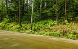 Lot 67 Camp Brook Road - Photo 9