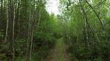 Map 8 Lot 29 Martin Road - Photo 13