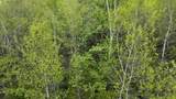 Map 8 Lot 29 Martin Road - Photo 15