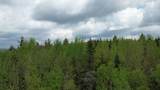 Map 8 Lot 29 Martin Road - Photo 17