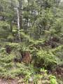 Map 8 Lot 29 Martin Road - Photo 18