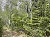 Map 8 Lot 29 Martin Road - Photo 19