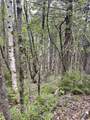 Map 8 Lot 29 Martin Road - Photo 22