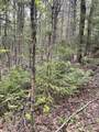 Map 8 Lot 29 Martin Road - Photo 23
