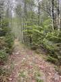 Map 8 Lot 29 Martin Road - Photo 24