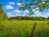 674 Cadieux Road - Photo 4